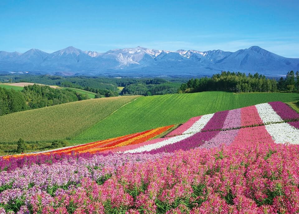 hokkaido1.jpg