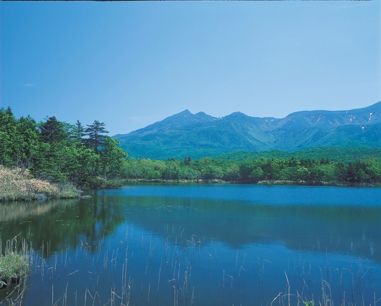 hokkaido_20210707151739405.jpg